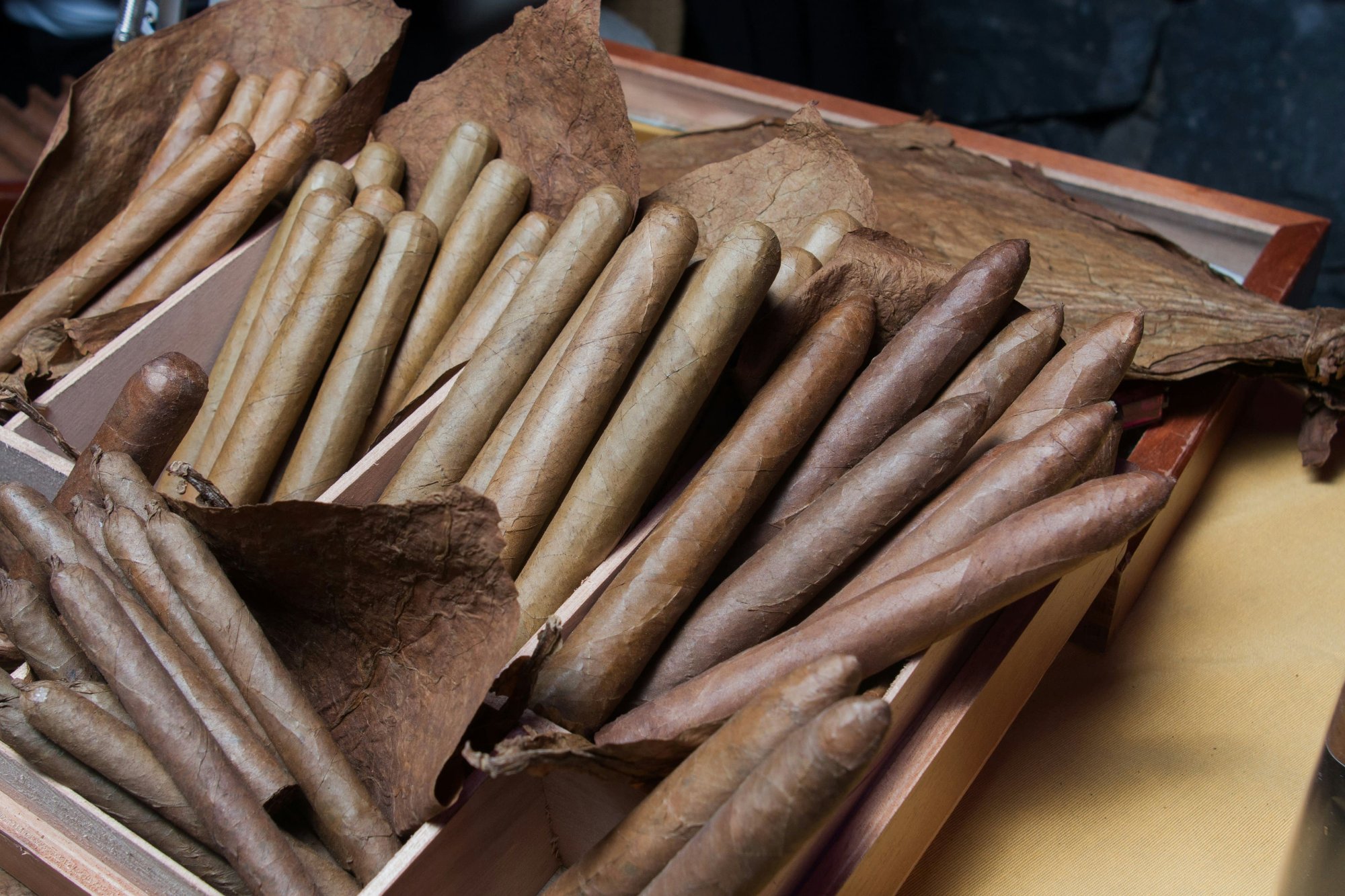 Premium cigars luxury event