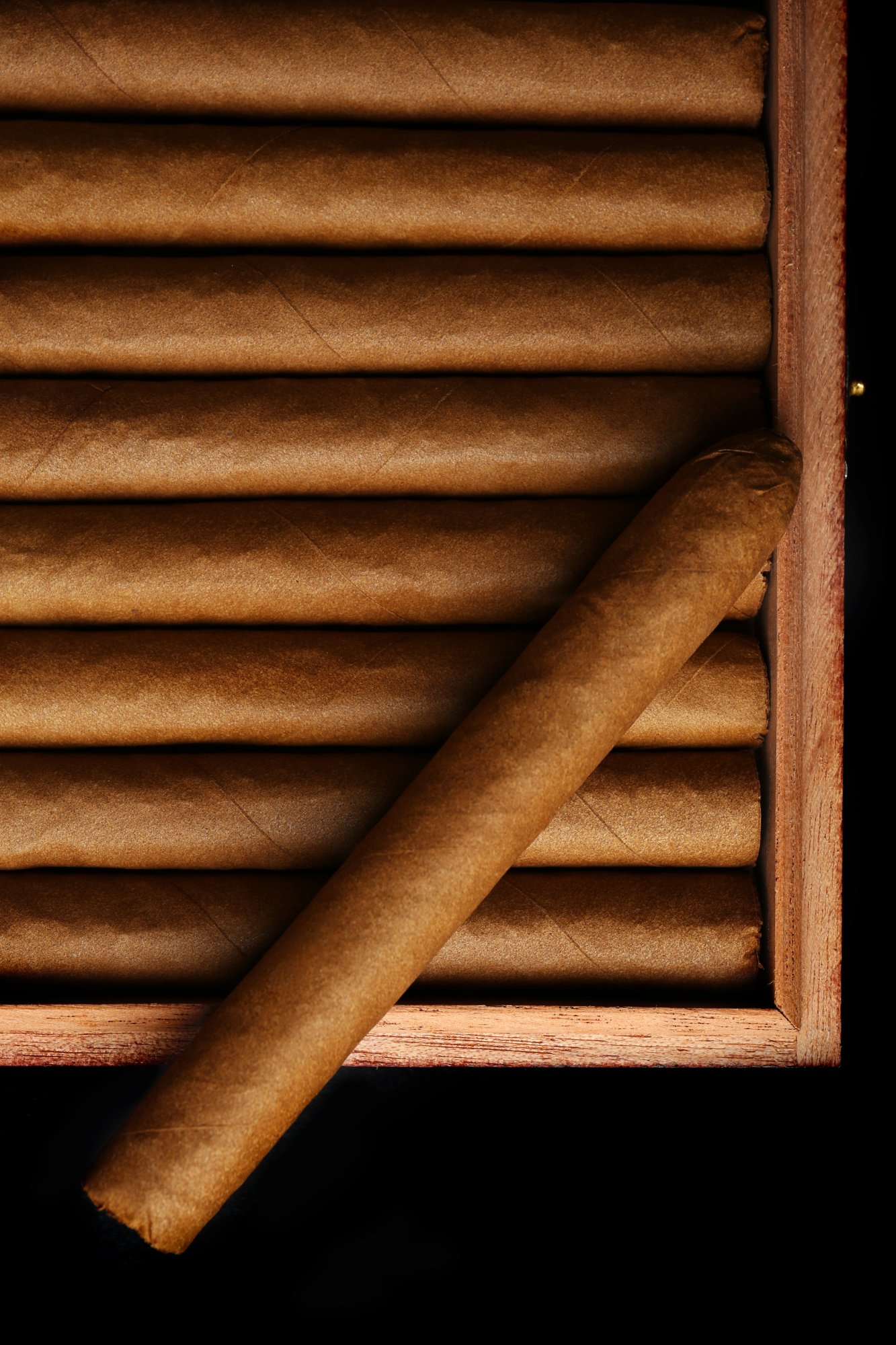 Holiday seasonal cigar event